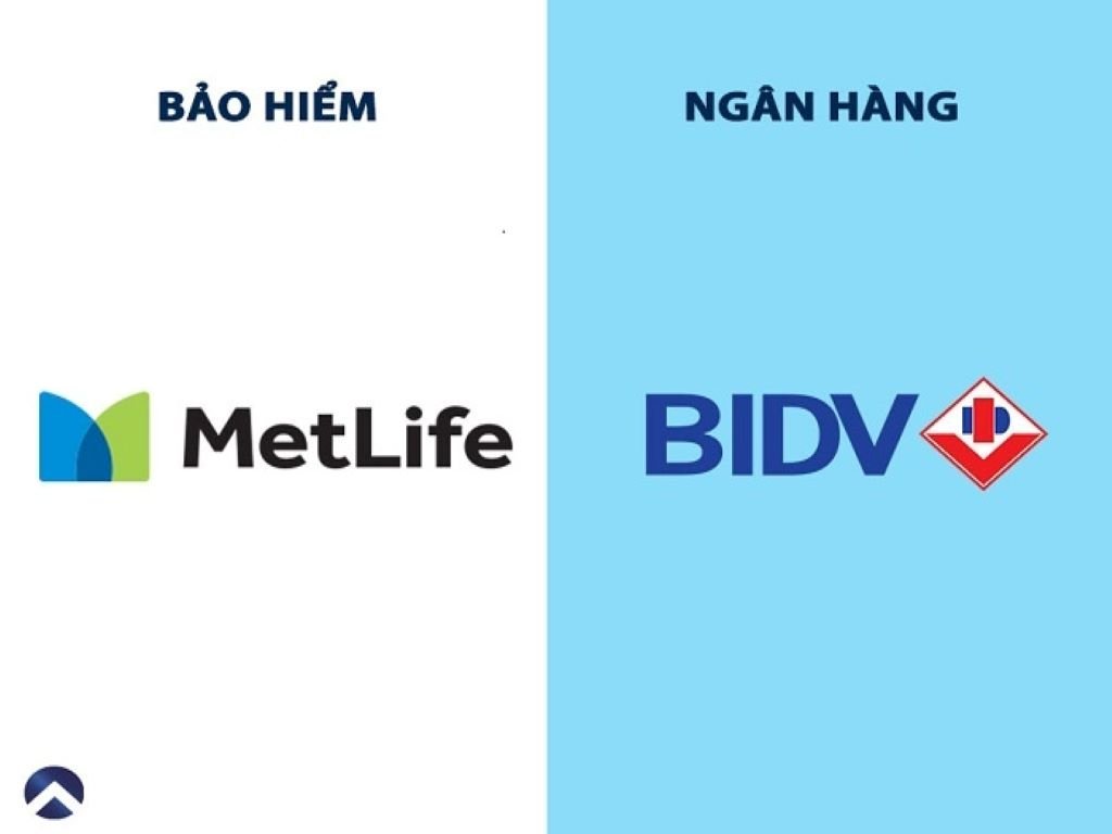 Các gói sản phẩm bảo hiểm BIDV Metlife dành cho cá nhân và doanh nghiệp