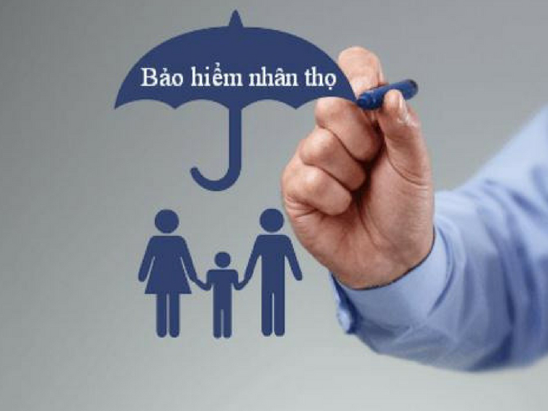 Xếp hạng những công ty bảo hiểm nhân thọ lớn nhất của Việt Nam hiện nay