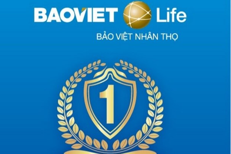 Tìm hiểu khái quát về thương hiệu và lợi ích khi sử dụng bảo hiểm Bảo Việt